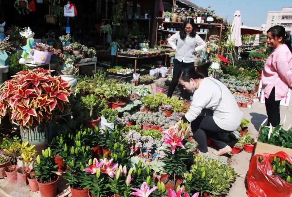 深圳年货批发市场拿货渠道,深圳南山年货市场在哪里