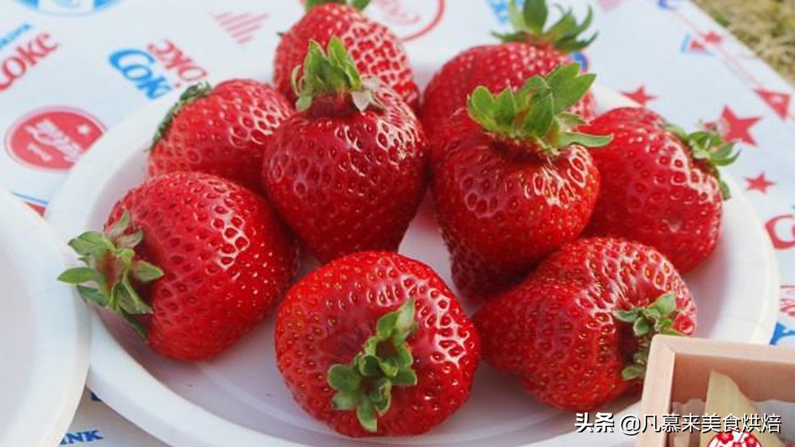 草莓哪个品种最好吃又好种,2018产量最好最大的草莓品种