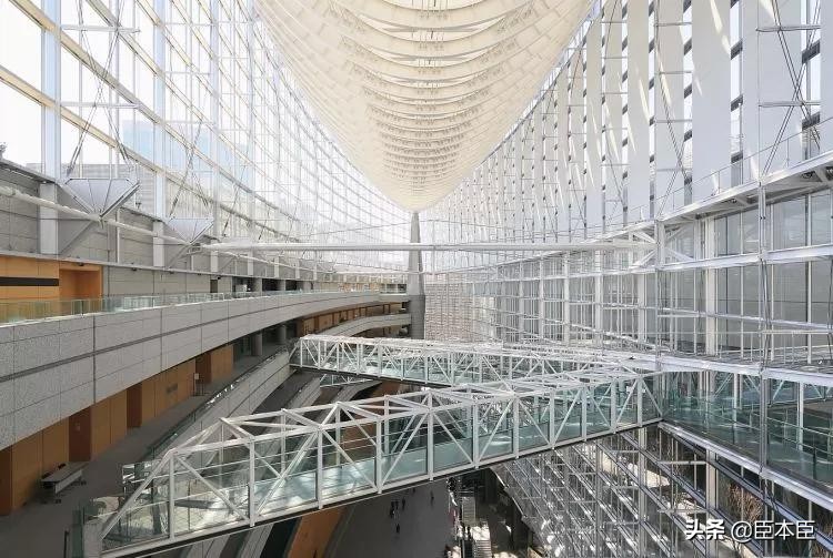 2020年东京奥运会看点大盘点,2020东京奥运会有哪些亮点