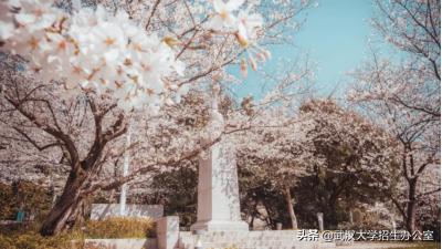 毛主席此生只正式视察过2所大学，其中1所在武汉，走出了100余位两院院士！