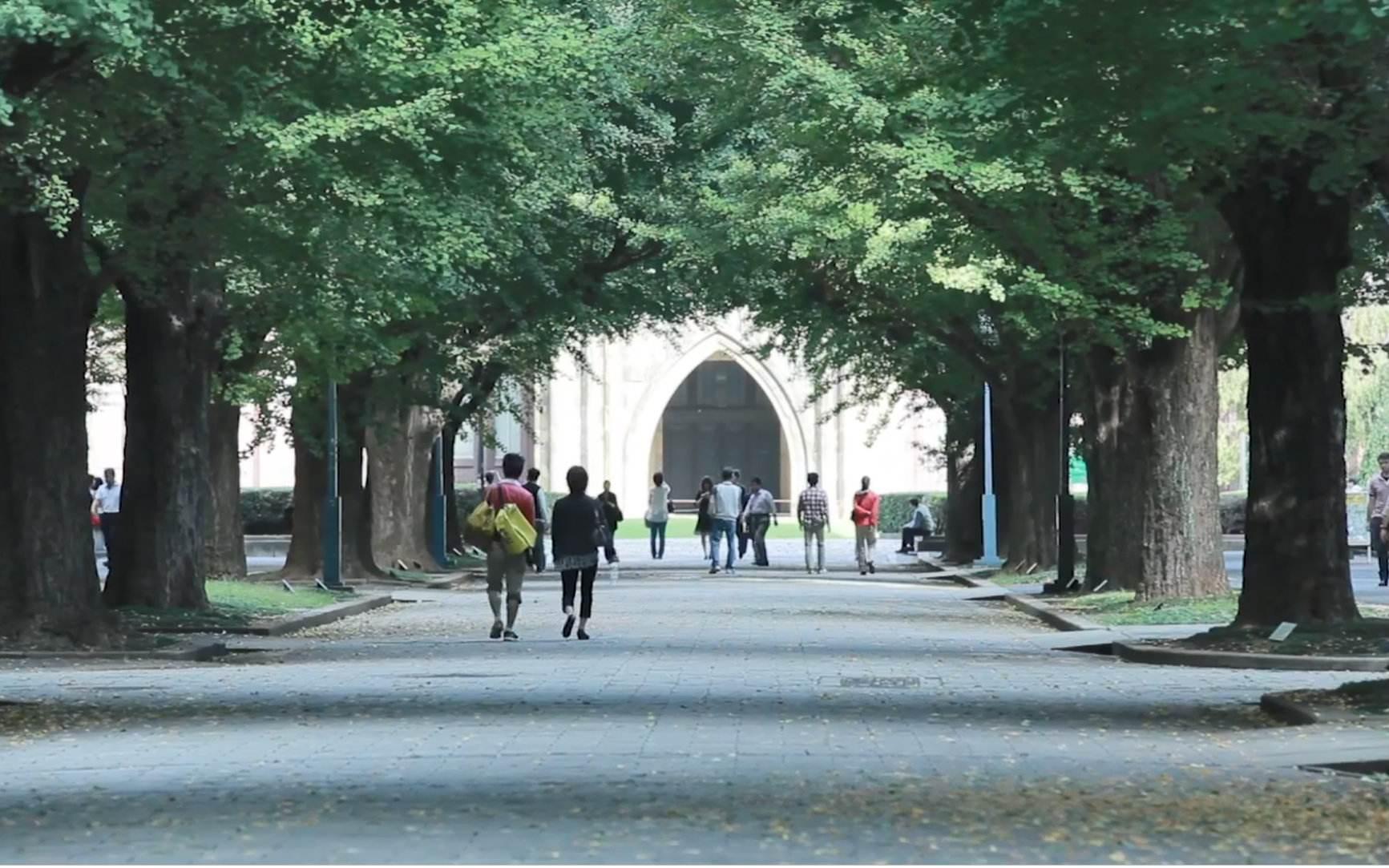 985大学面临退学怎么办,985退学了该怎么办