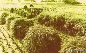 上世纪九十年代汕头发生了什么,汕头九十年代发生了什么