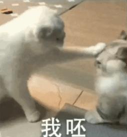 妇科专家：产后正确避孕的5种方法，看看你适合哪种？