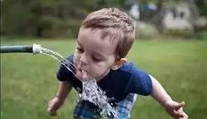 来澳洲才知道的事,来悉尼才知道的事