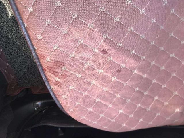 大连要闻快报,大连本周大事件