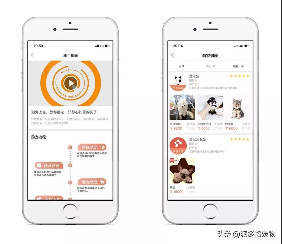 派多格宠物官方旗舰店,派多格宠物官网电话