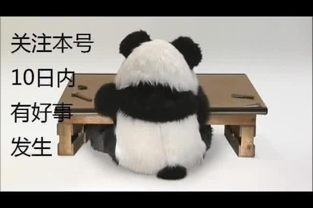 皮奥利传球失误过多,c罗被裁判毁掉的六个进球