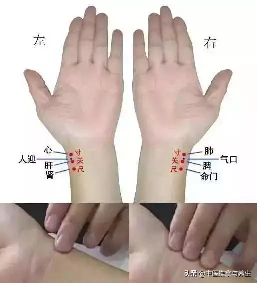 中医把脉深度解析,中医把脉的秘密六大核心