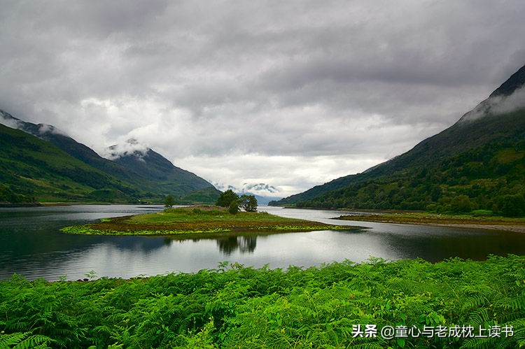 《抬高房梁，木匠们；西摩：小传》，如何在俗世中过隐居生活？