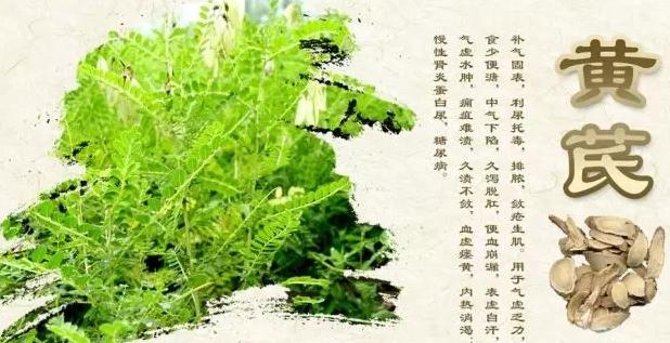 鸡吃什么中药保健最好,鸡病特效药方子