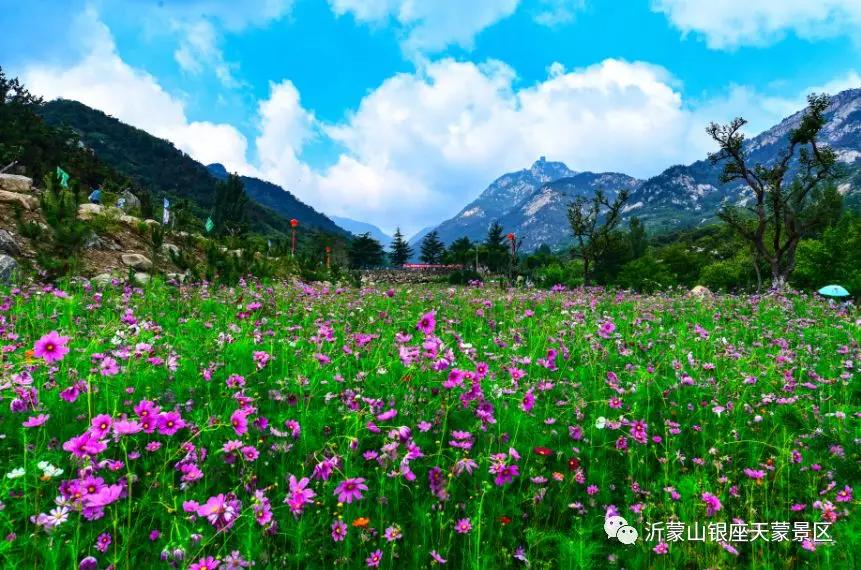 天蒙山踏青赏花,蒙山景区赏花
