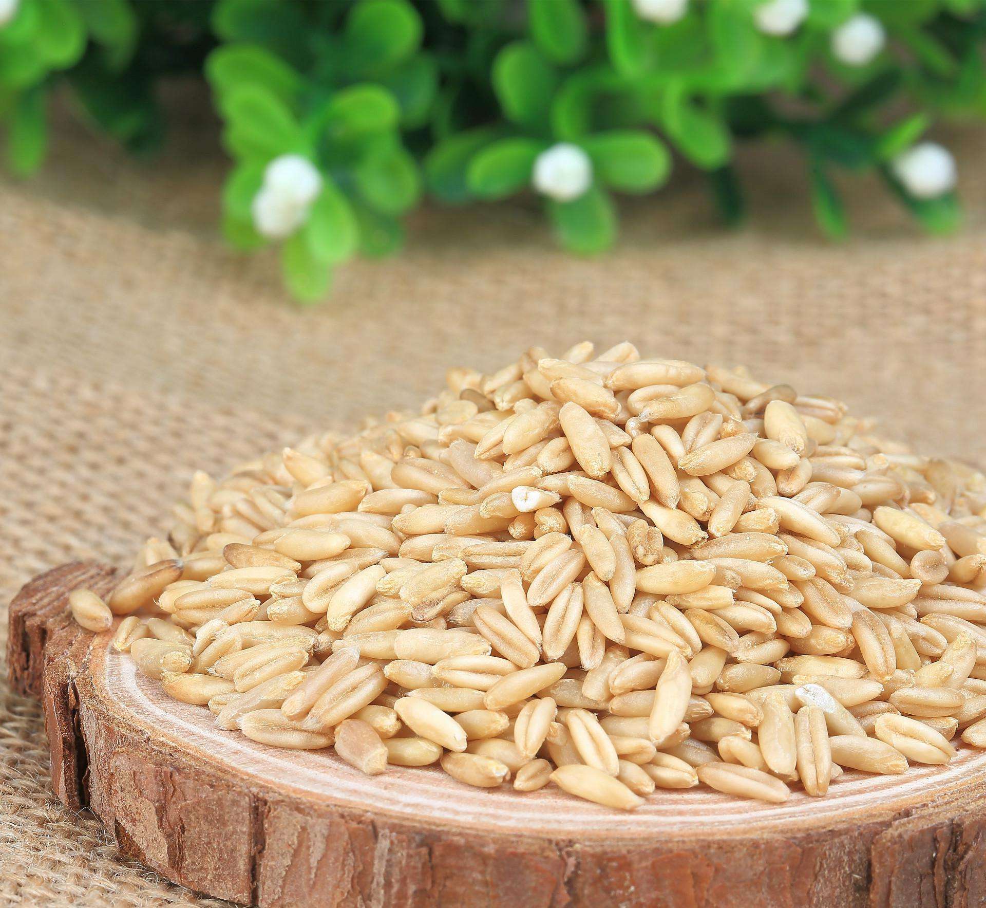 都说燕麦减肥,都说燕麦是营养之王