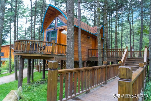 洛阳白云山山顶小木屋价格,洛阳白云山森林小木屋