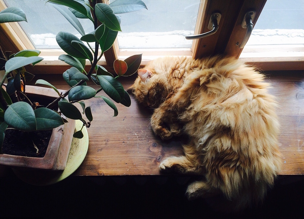 隔音效果太差了经常被楼下吵醒,房间隔音差半夜被吵醒怎么改善