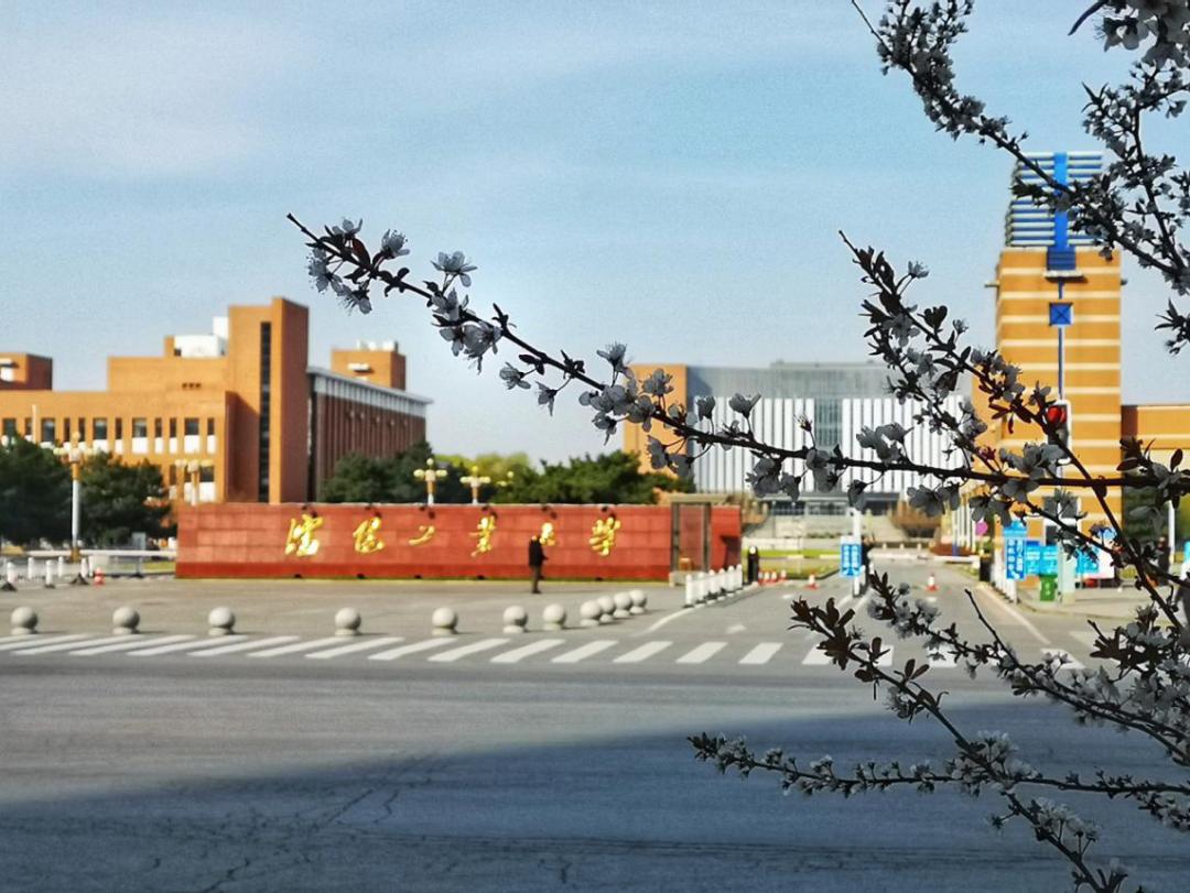 2021月收入最高的专业揭晓!这所大学10个专业强势上榜!