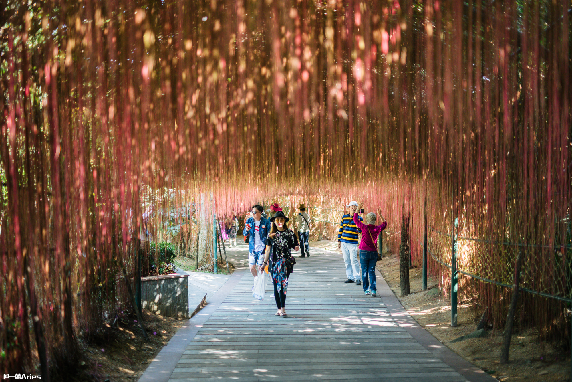 三亚旅游业恢复到旺季的火爆视频,三亚旅游业什么时候能恢复正常