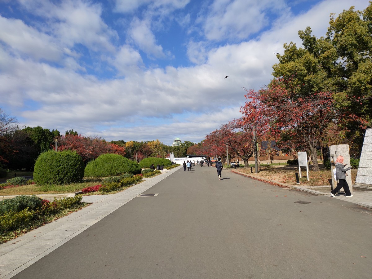 大阪马拉松跑道多少公里,日本大阪马拉松赛道怎么样