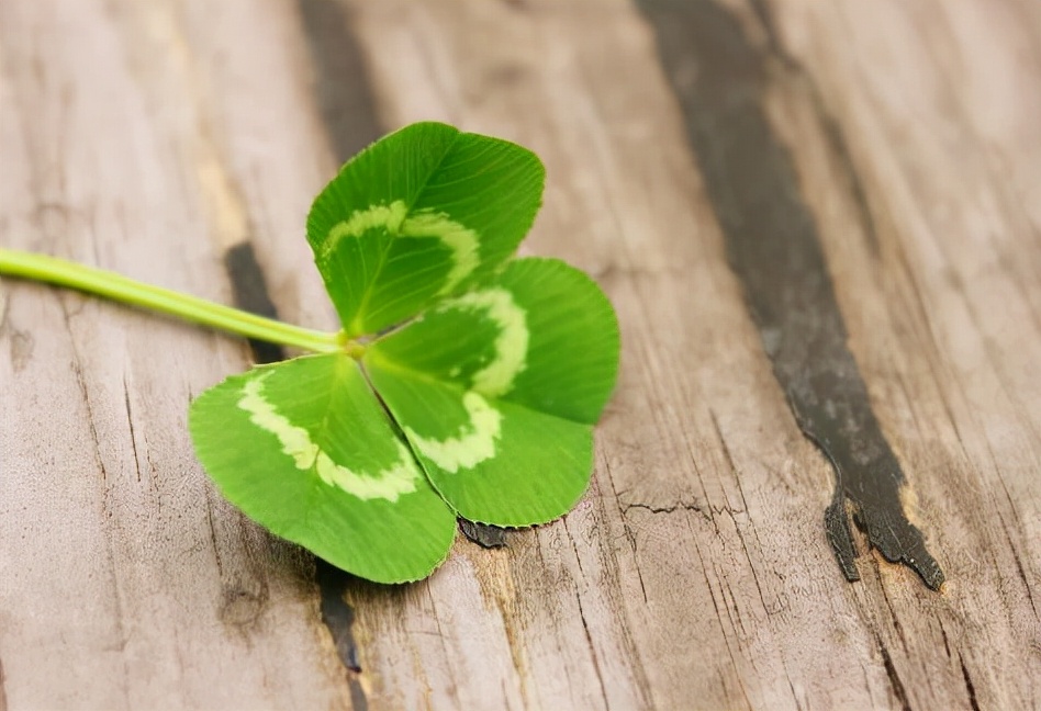 男人出轨冷落自己该怎么应对呢,当男人冷落你时最好的回击方式