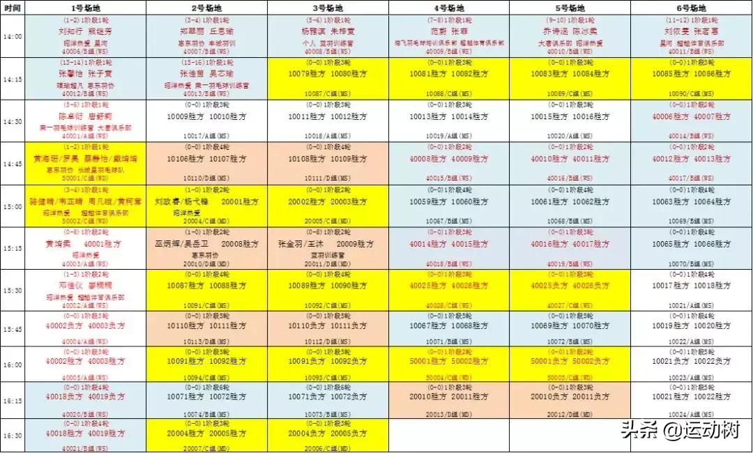 广东惠阳羽毛球单项赛,羽毛球惠阳区比赛