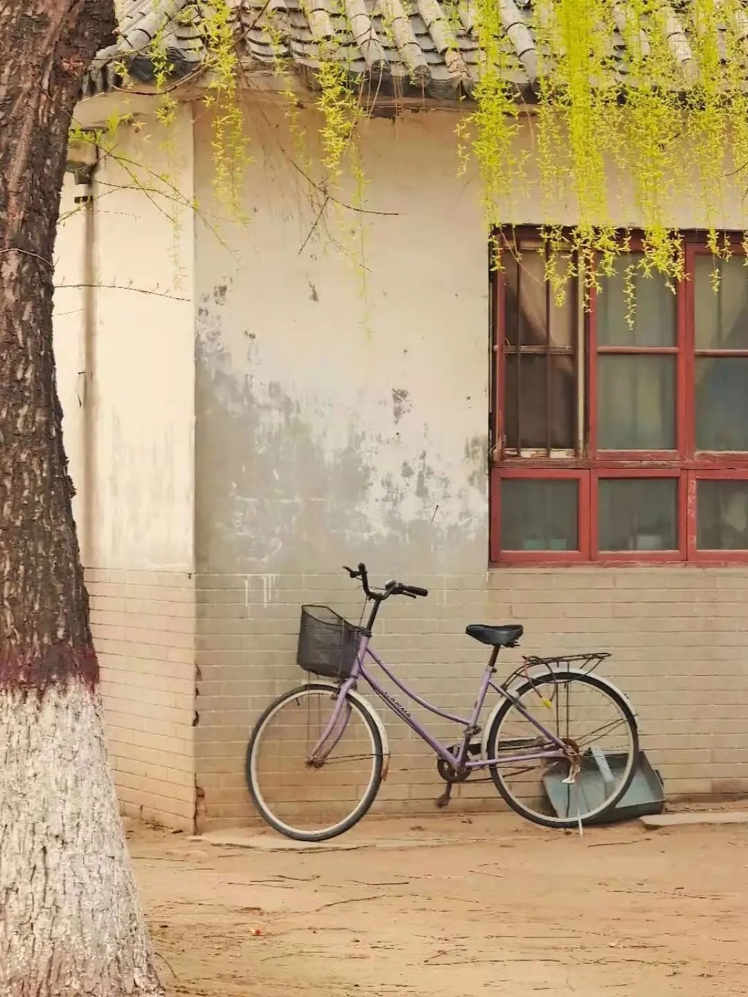 为啥用手机照相不好看,为什么手机拍照照片越来越不清晰