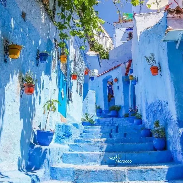 全球护照免签落地签排名,中国护照最新免签落地签