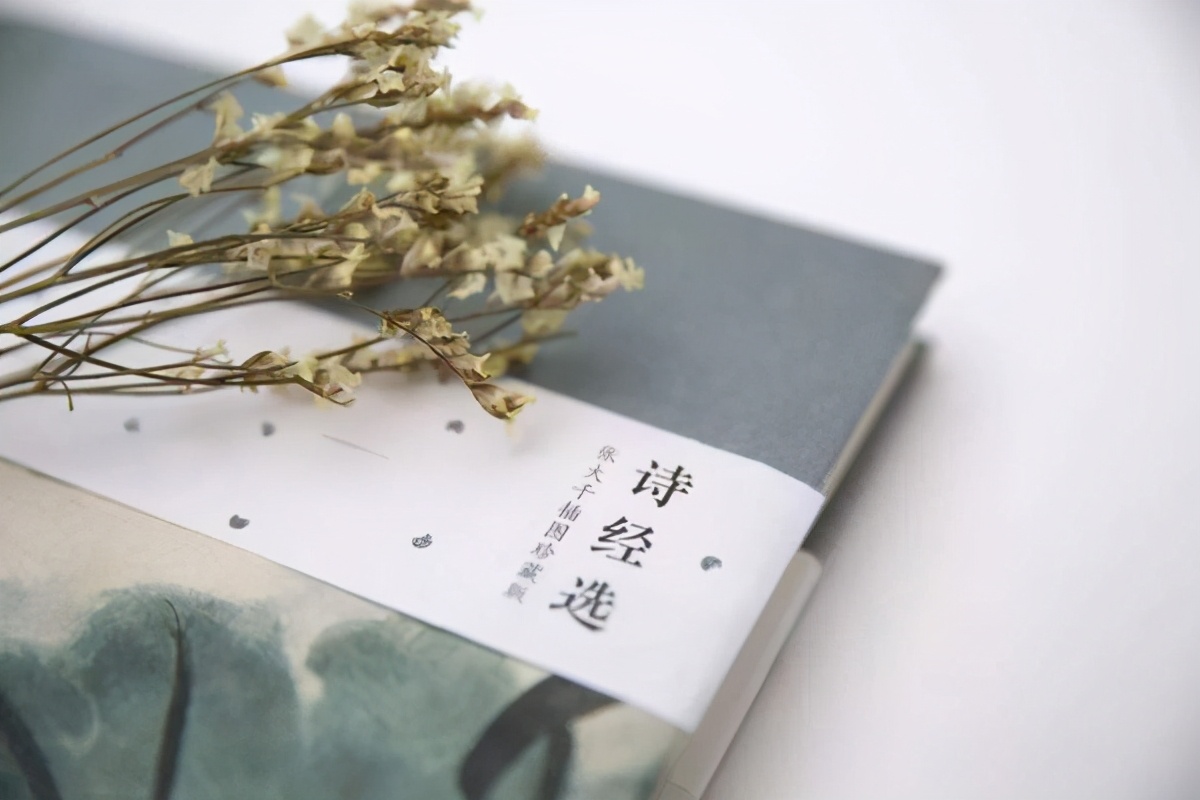 男孩名字大全诗情画意,诗经取名男孩300个附带诗句