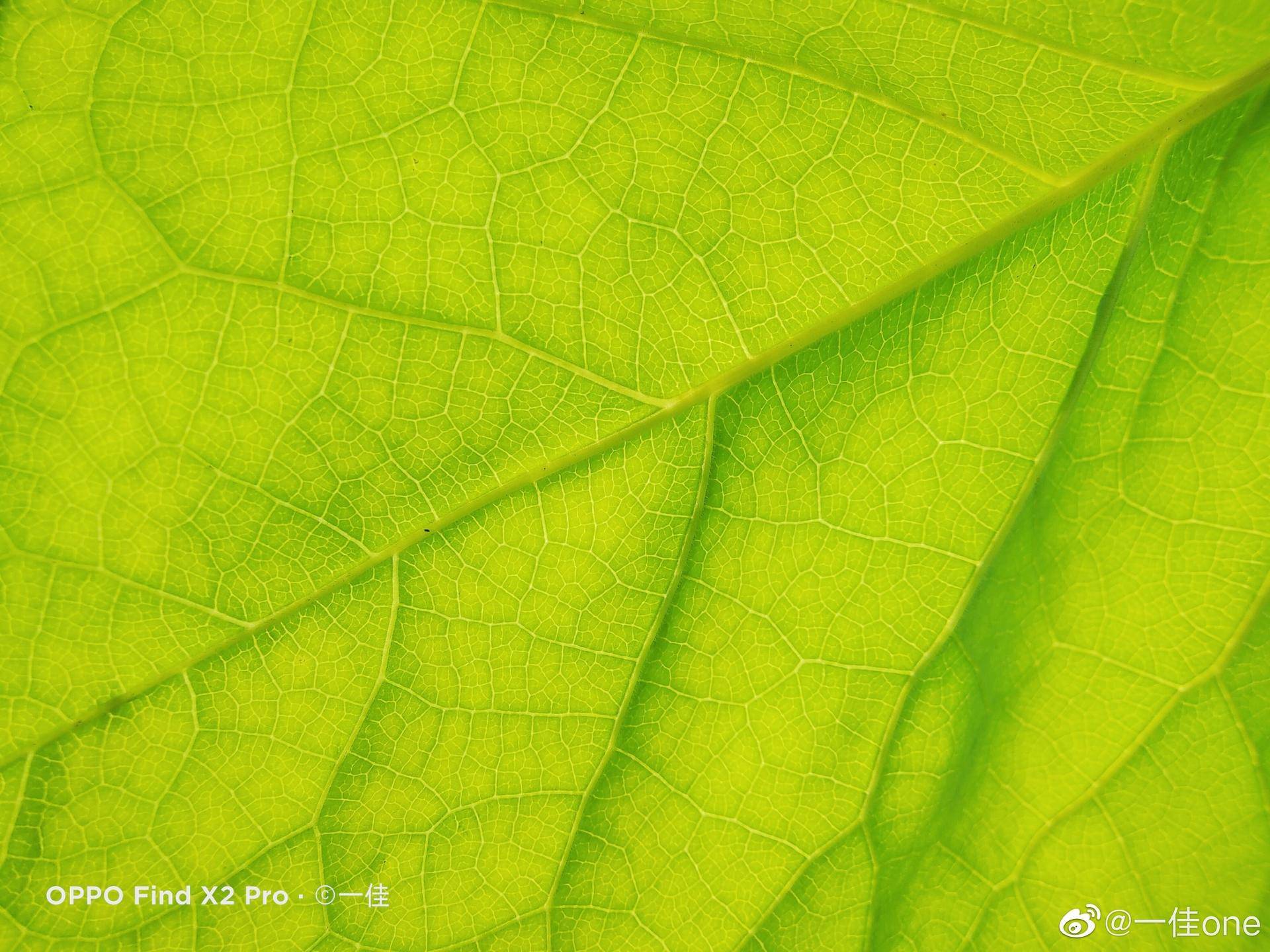 拍照手机超广角,超广角角度拍照手机