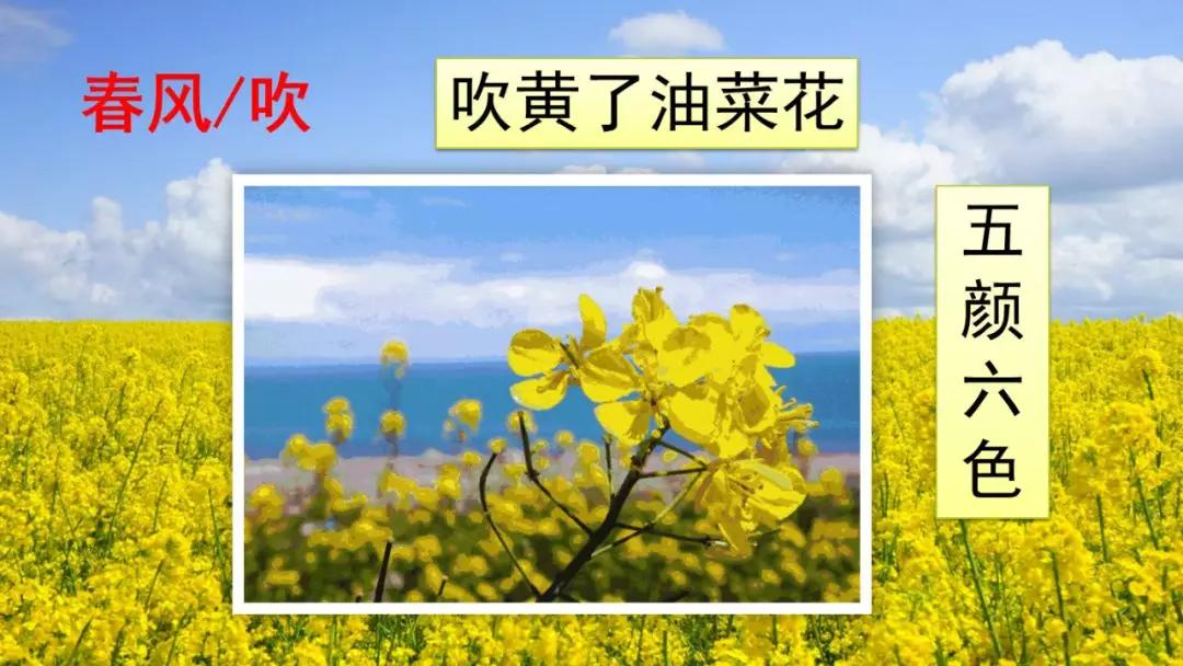 部编版一年级语文上识字表,识字一春夏秋冬课文