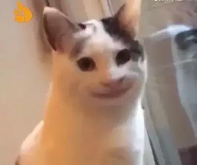 深扒吴昕、张天爱的护肤邪术，比她们演的戏精彩太多了