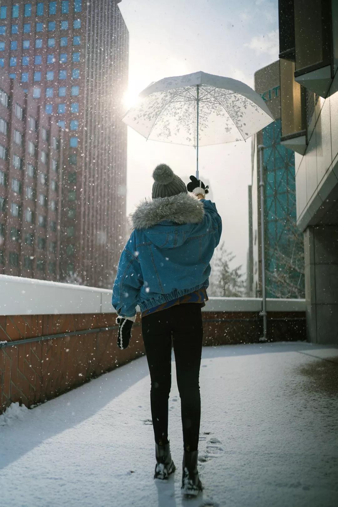 遇见世界|离开北海道的第224天