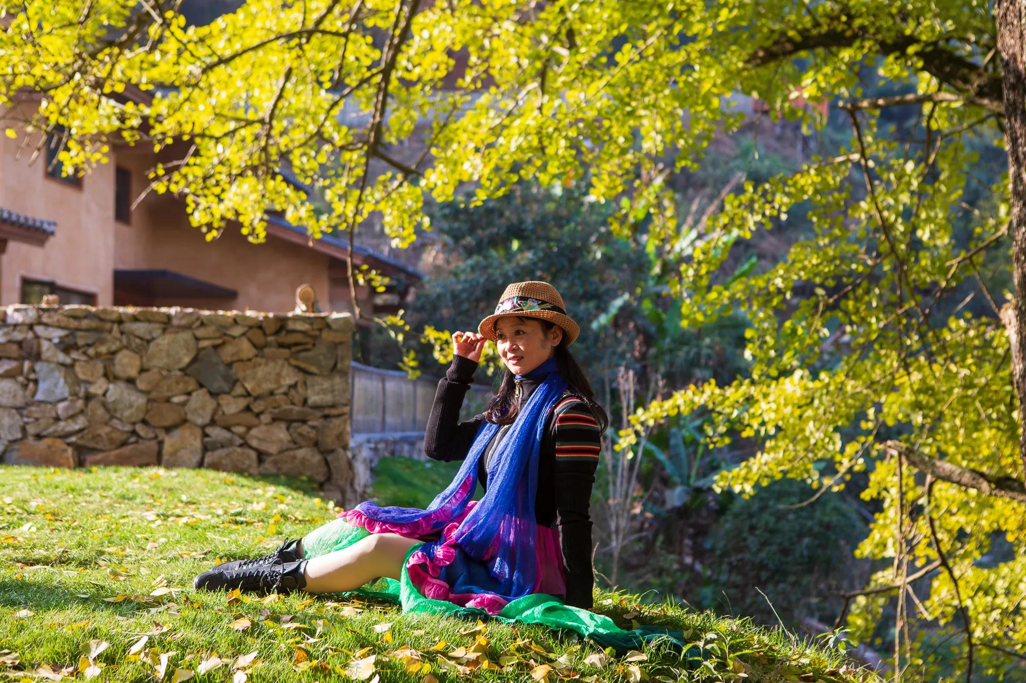 高岭古村银杏,高岭乡高岭村