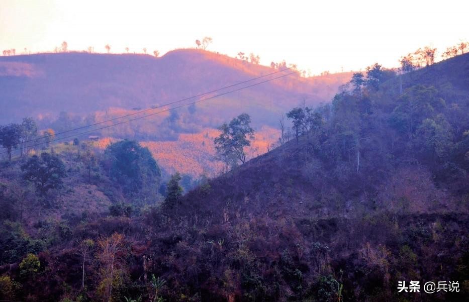 副连长发现，越军阵地细微变化：昨天插的伪装，今天蔫了