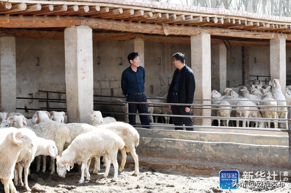 记者手记电影完整版,记者手记脱贫攻坚