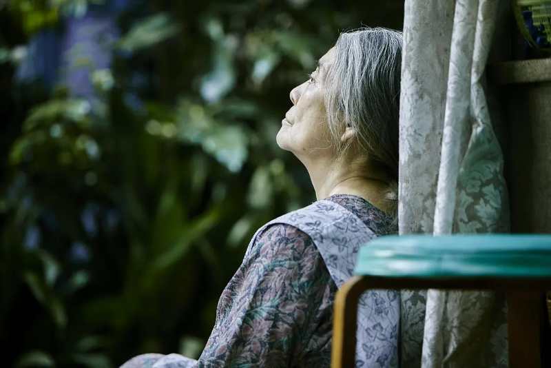 励志人生的电影小偷家族,8.8分黑社会小偷电影