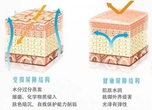 诗臻泊护肤品抗皱哪款比较好,想要年轻的秘诀