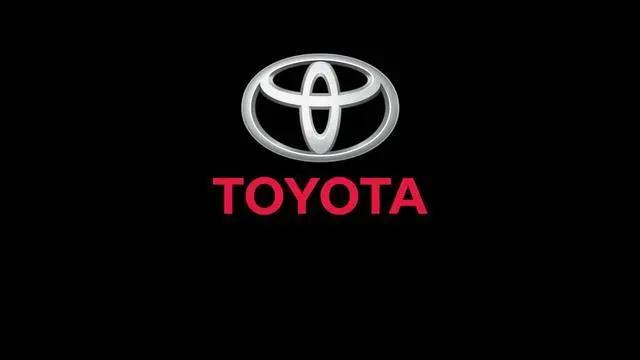 疯狂的陆巡,丰田陆巡霸道酷路泽