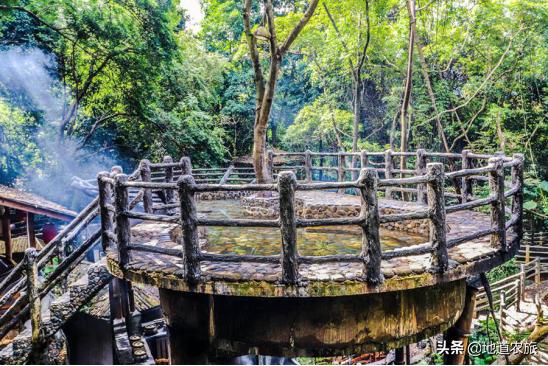 中草药赚钱项目有哪些,中草药康养项目