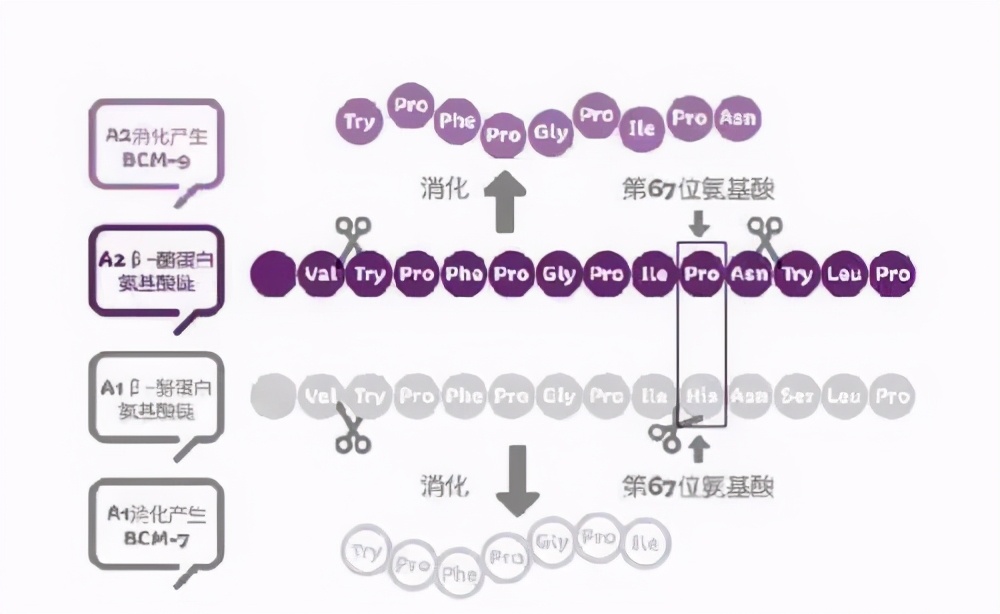 头部企业竞相布局前海,头部企业开始布局