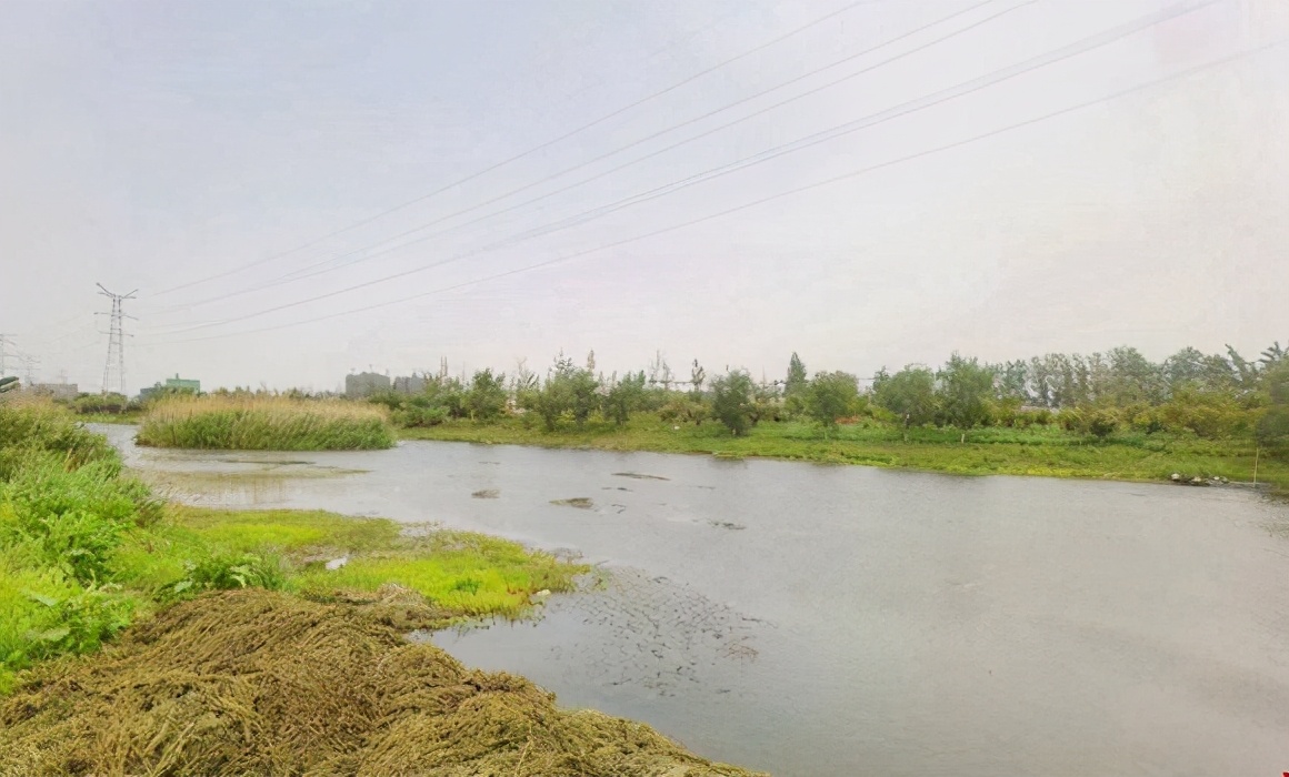 恭喜濉溪御源置业!1.656亿元摘得乾隆湖旁89.06亩宅地