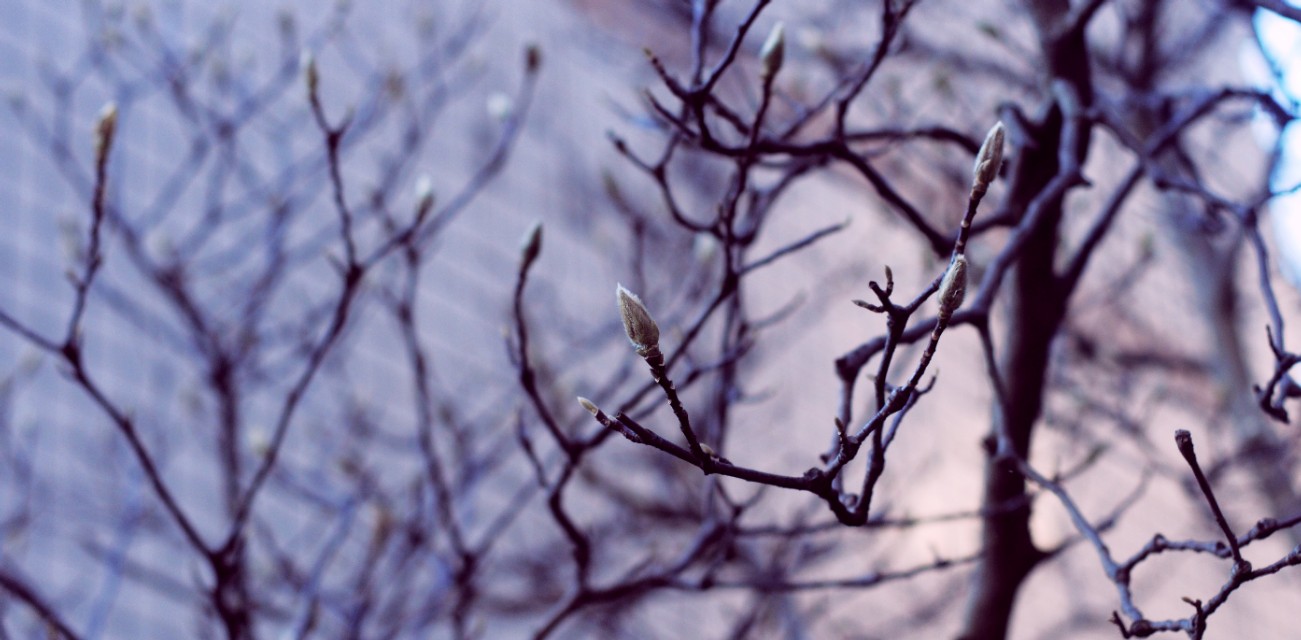 摄影小白买相机推荐,摄影小白看过来