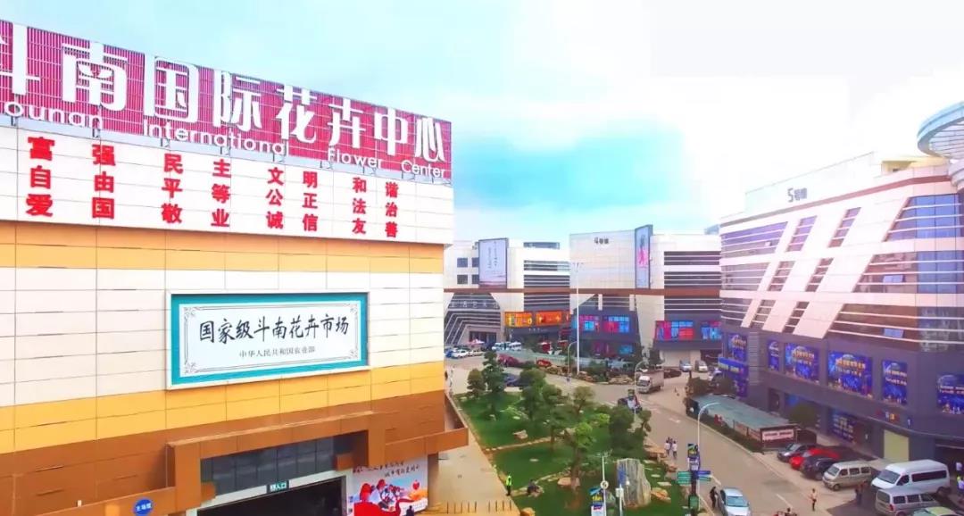 最冷清情人节：鲜花需求量为往年30%，估计云南花卉产业损失百亿