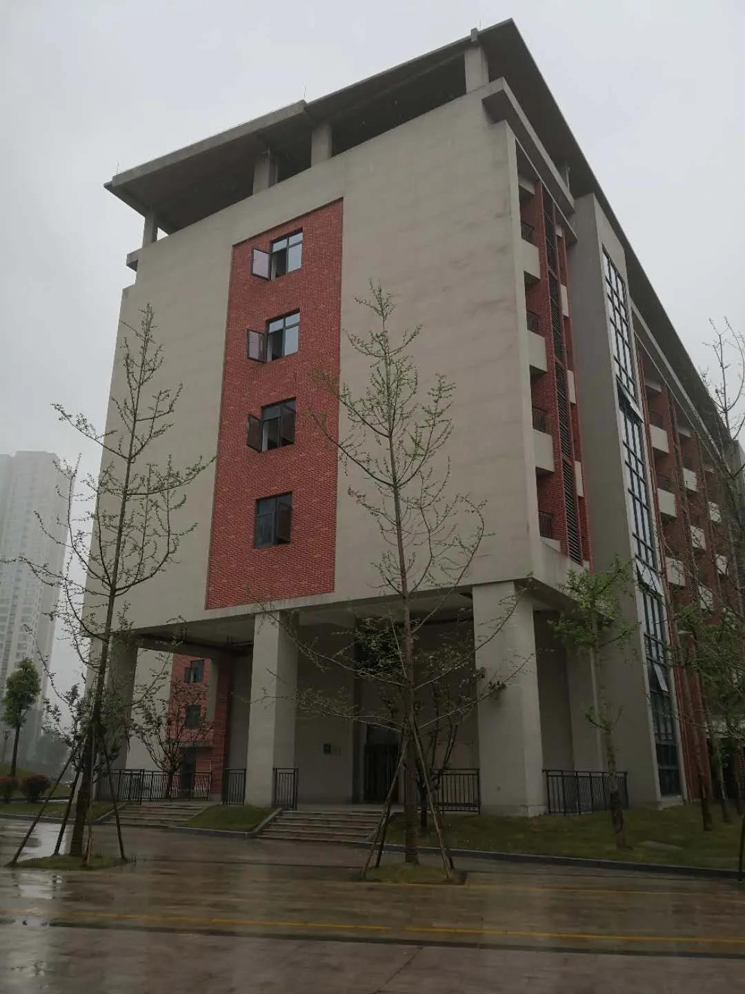 大竹林西大附中环境,西大附中大竹林图片