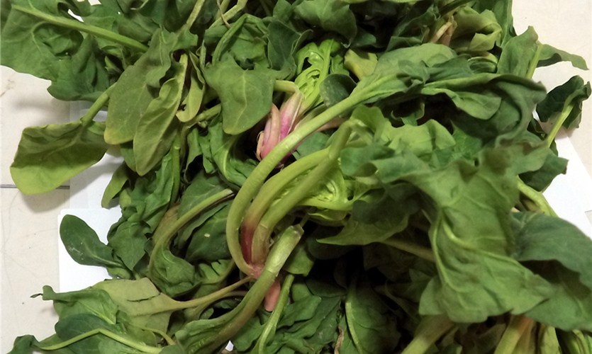 菠菜油泼面的做法,菠菜怎么油泼好吃