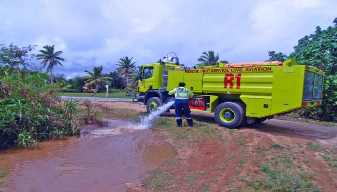最孤独鸭子被咬死百科,史上最孤独的鸭子
