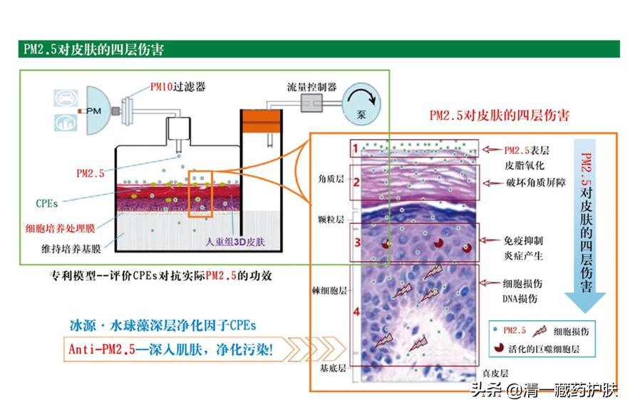 清一藏药护肤品,清一藏药化妆品