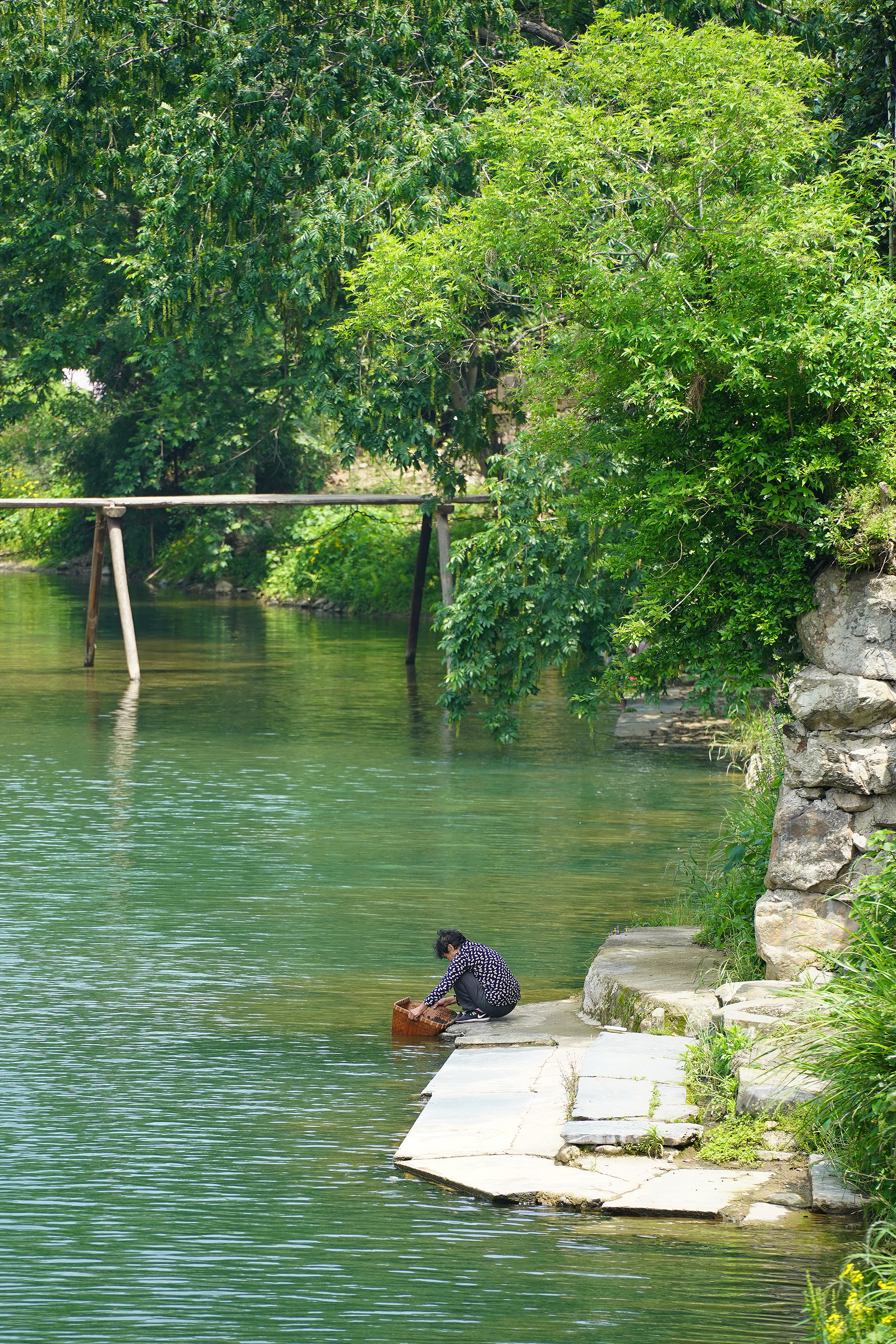 景德镇茶之源瓷之都,景德镇浮梁茶文化