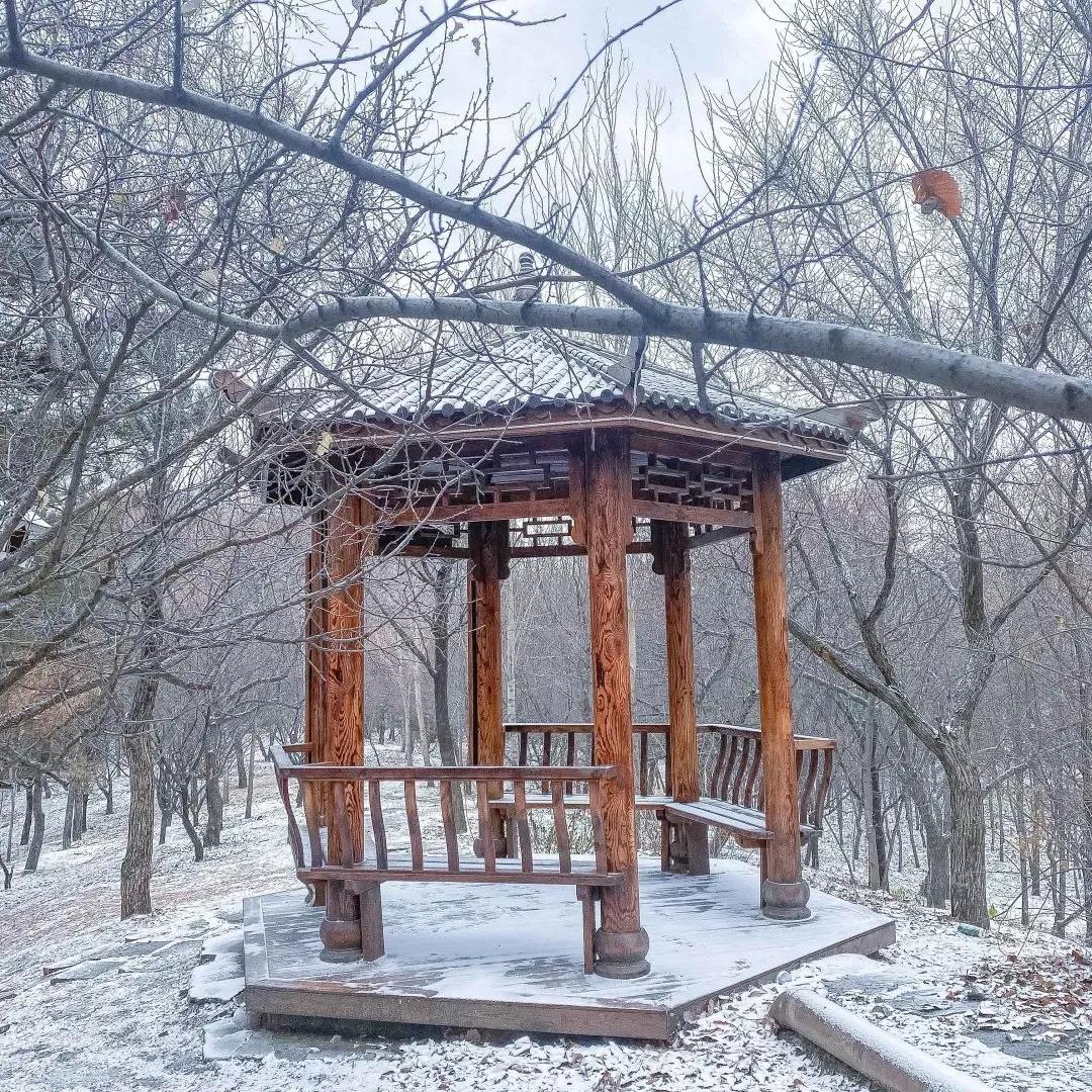辽宁省高等院校分布图,辽宁省高考报考沈阳航空航天大学