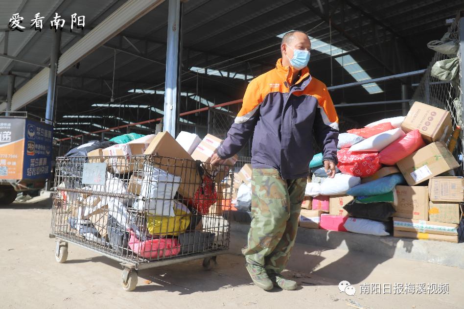 爱看南阳㉘初冬·暖阳依旧