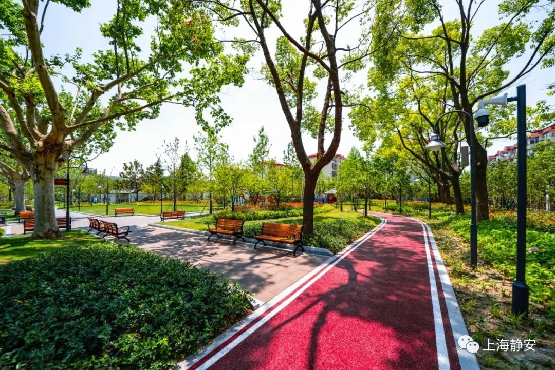 大声告诉你沙哑版,大声告诉你日语版