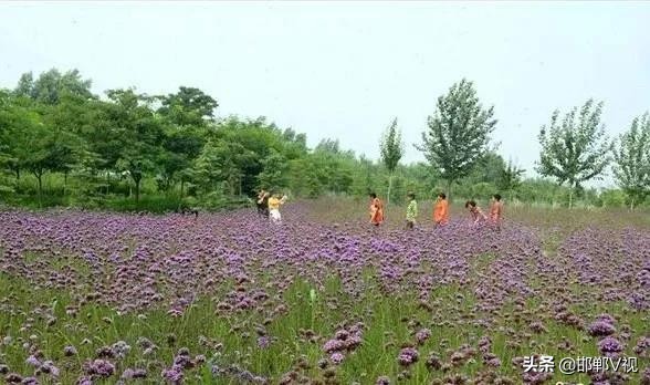 永年排名第一旅游景点,永年好玩的地方一日游